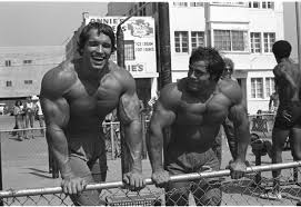 Arnold in America